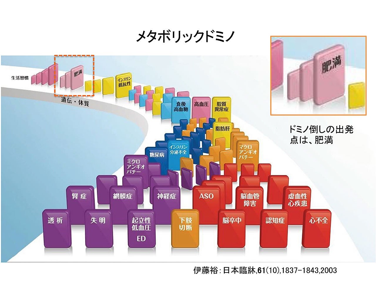 メタボリックドミノ